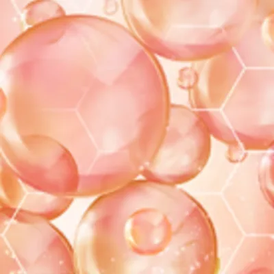 Hydrolyzed Collagen
